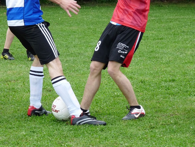 布莱顿赛后 布莱顿赛后