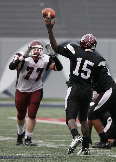 森林狼雖然 森林狼雖然