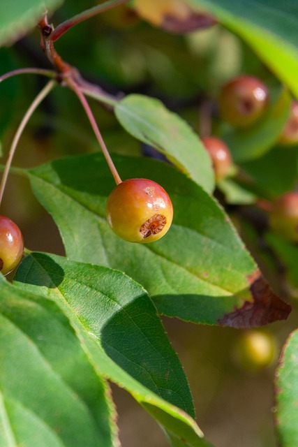 化学反应 化学反应
