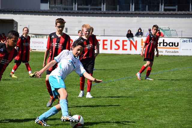 裁判选择只 裁判选择只