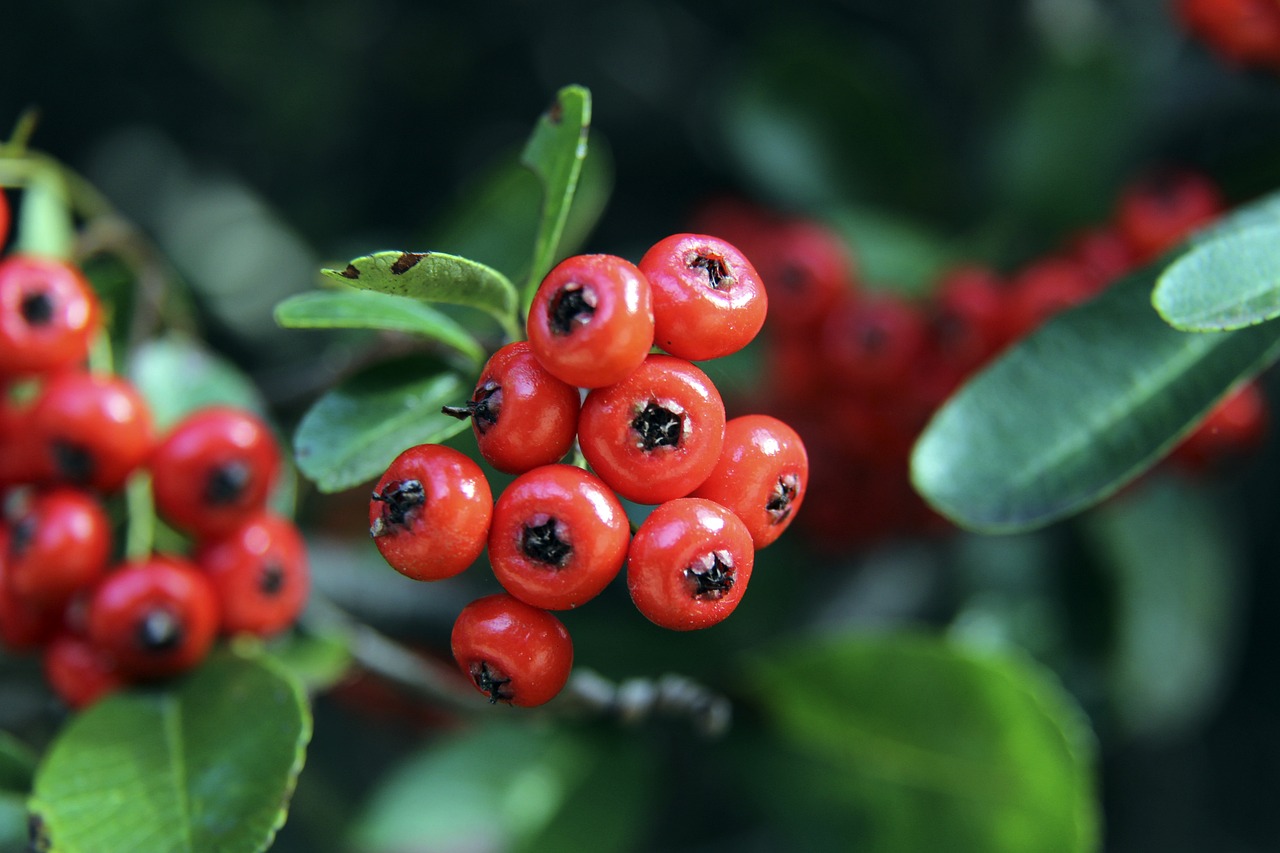 端采用了多 端采用了多