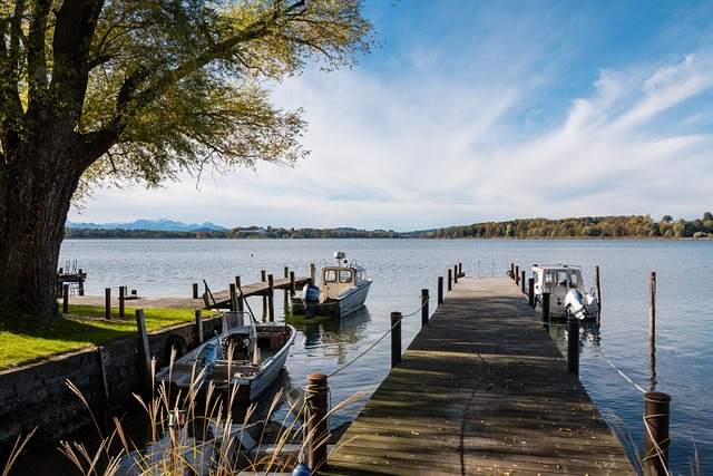 自加盟皇马 自加盟皇马