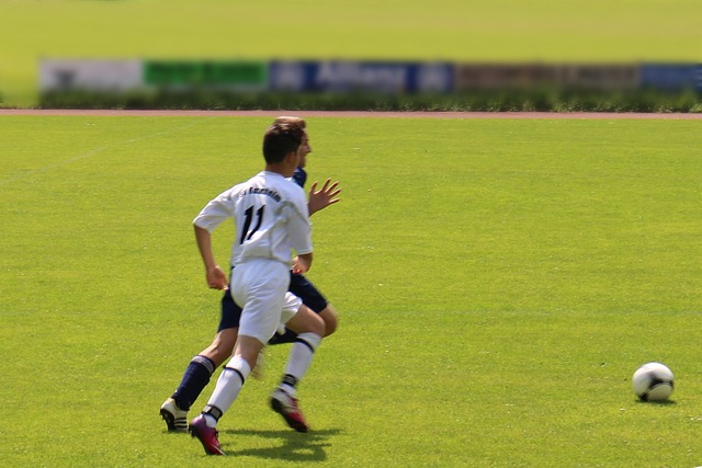 的竞争力 的竞争力