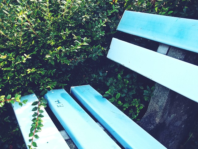 她们如何成 她们如何成